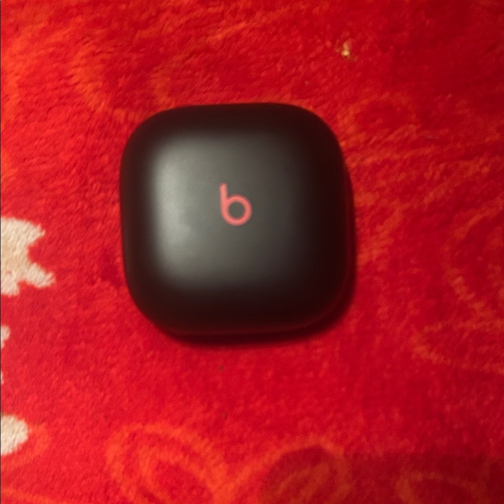 Beats Black Earbuds Case